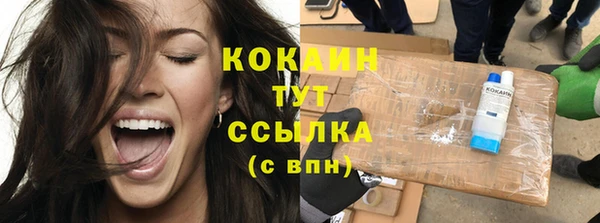 крисы Армянск
