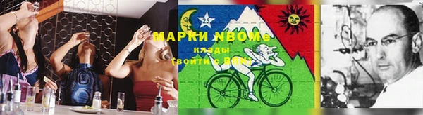 стафф Арсеньев