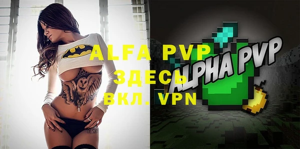 a pvp Аркадак