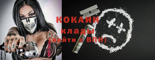 крисы Армянск