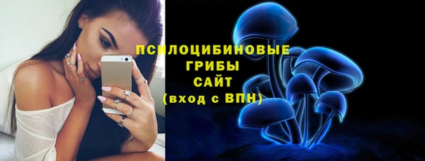 крисы Армянск