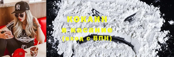 стафф Арсеньев