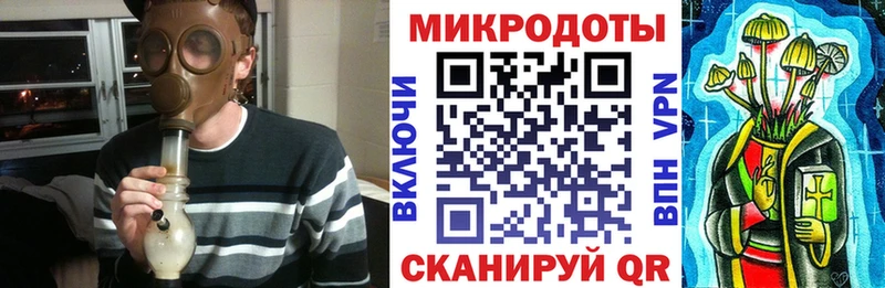Купить закладки  Ленинградская  Галлюциногенные грибы Psilocybe 
